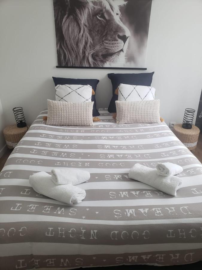 Appartement T3 - Rdc-Parking Gratuit Vierzon Εξωτερικό φωτογραφία